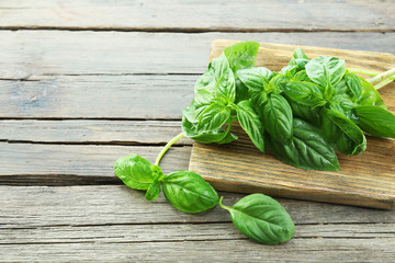 Fototapeta premium Green fresh basil on wooden background