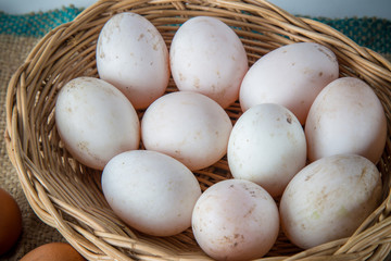 Duck egg