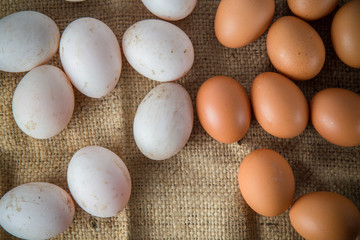 Eggs