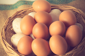 Eggs vintage color