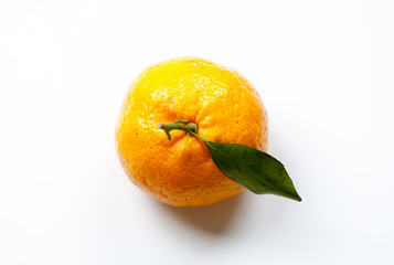 oranges on white background