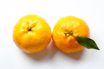 oranges on white background