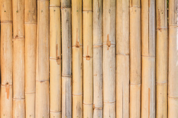 Fototapeta premium bamboo fence background