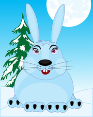 Wildlife hare in snow