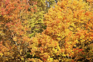 October in Cuyahoga Valley