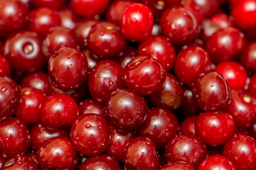 Background made of the cherries