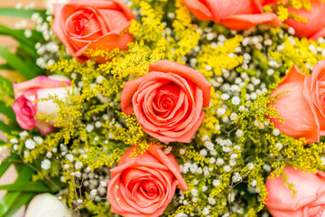 Nice roses in celebration concept