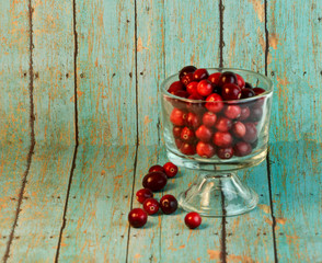 Bowl of Cranberries on a wooden turquoise background