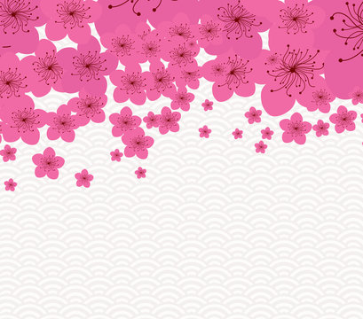 Chinese New Year - plum blossom Background