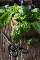 Bunch of fresh basil on the vintage table