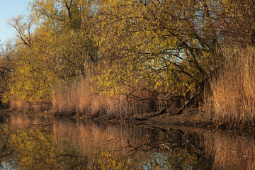 Obraz premium отражение