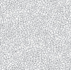 Vector texture of irregular cracks, white background.