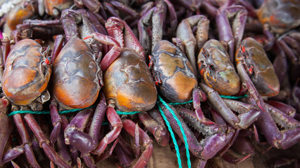 Crabs on sale at local fish market