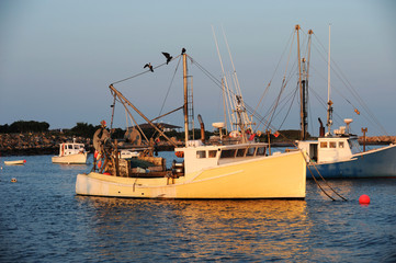 fishing boats in the harbor