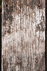 Old wooden plank.