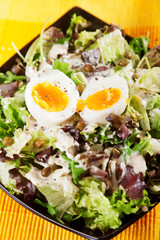 Salad with lettuce and eggs