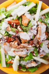Chicken salad with zucchini