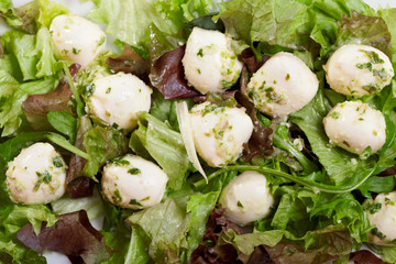 Green salad with baby mozzarella