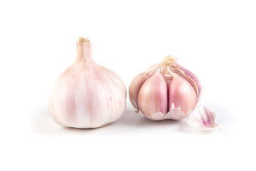 garlic on white background