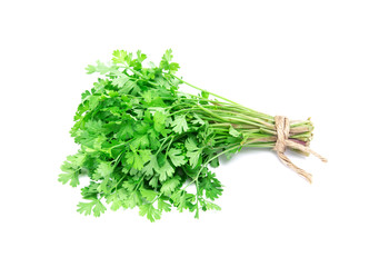 Fresh Green parsley on  white background