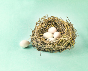 Obraz premium twigs nest with white egg on blue paper background
