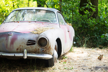 Old Car rusting in forest