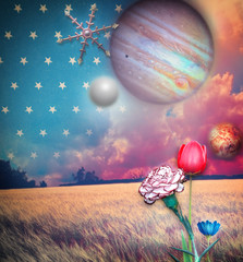 Anywhere out of the world series © Rosario Rizzo