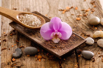 Orchid in wooden bowl ,dry flower petals, stones on old wood