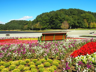 ベゴニアとセンニチコウ咲く花壇のある秋の21世紀の森と広場風景