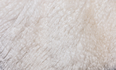 Background of artificial wool