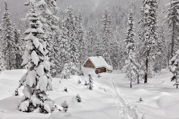 Cottage among snowy forest