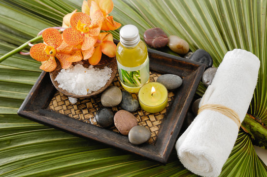 Green palm leaf background- Health spa