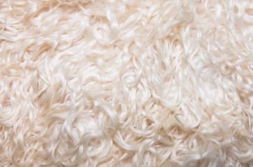 Background of staples of white sheep wool