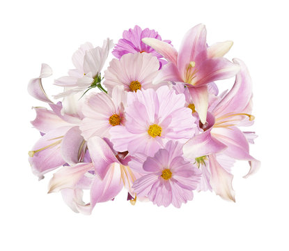 Beautiful assorted bouquet pink flowers garden on white background 