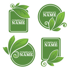 vector collection of leaf frames, labels and stickers