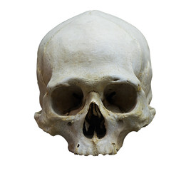 Obraz premium The skull of human on white background