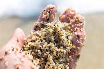 sand in hand