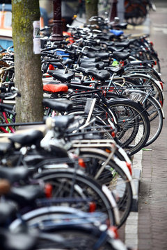 Group of parked bicycles