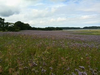 Insel Rügen