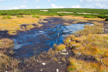  Upa moorland near Snezka peak, Krkonose mountains, Czech republ