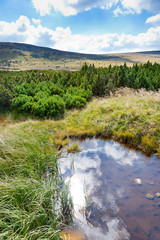  Upa moorland near Snezka peak, Krkonose mountains, Czech republ