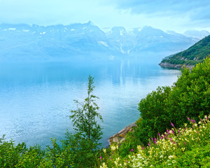 Naklejka premium Fjord summer cloudy view (Norway)