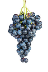 Blue grapes