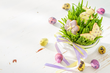 Easter cookies and eggs with grass