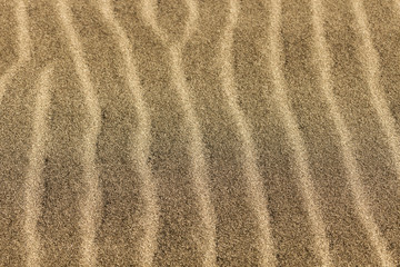 Fototapeta na wymiar Sand Dunes National Park