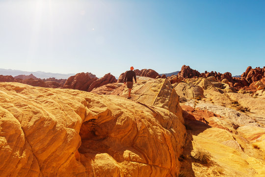 Valley Of Fire