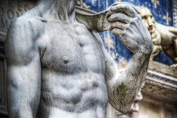 Fototapeta na wymiar world famous Michelangelo's David chest
