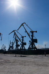 harbour cranes on loading in sea port