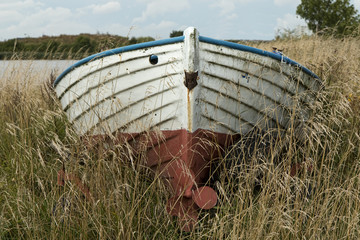 Old Boat in the Grass