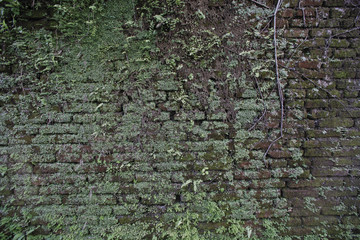 Old brick wall background